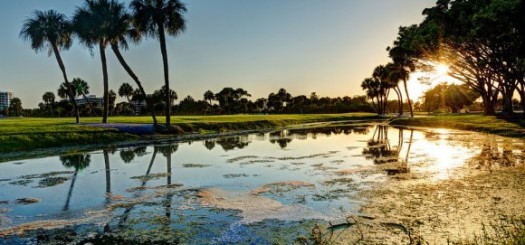 Edge of a golf course, Longboat Key Florida by Gavin Adams (creative commons)