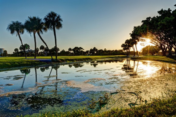 Edge of a golf course, Longboat Key Florida by Gavin Adams (creative commons)
